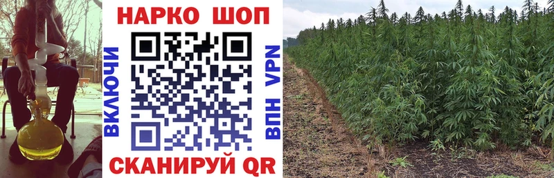 Где можно купить наркотики Новочебоксарск Alpha-PVP  kraken рабочий сайт  ГАШИШ  Каннабис  Меф 