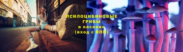 дживик Абинск