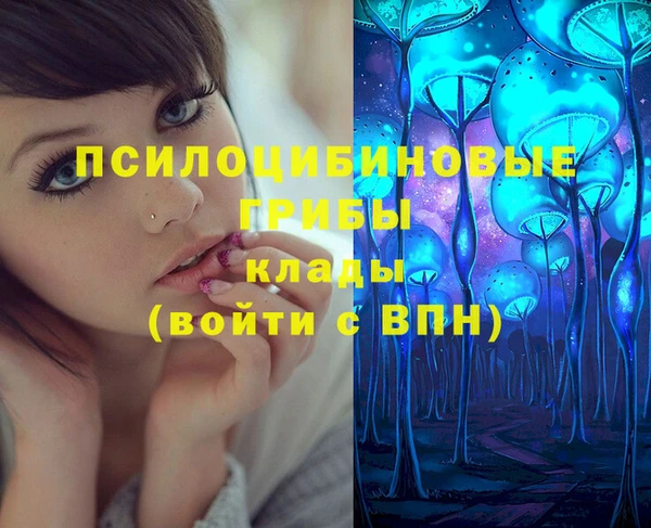стаф Абдулино