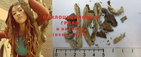 стаф Абдулино