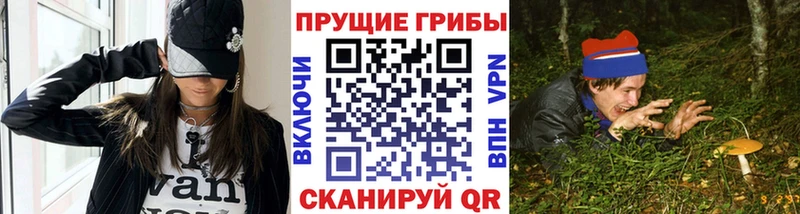 купить наркотики сайты  Новочебоксарск  shop телеграм  Псилоцибиновые грибы Psilocybe 